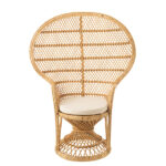 chair-peacock-pillow-rattan-natural