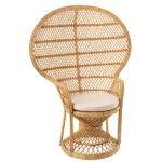 chair-peacock-pillow-rattan-natural