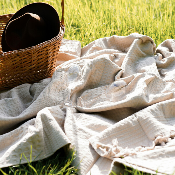 urban-loft-picknick Kopie